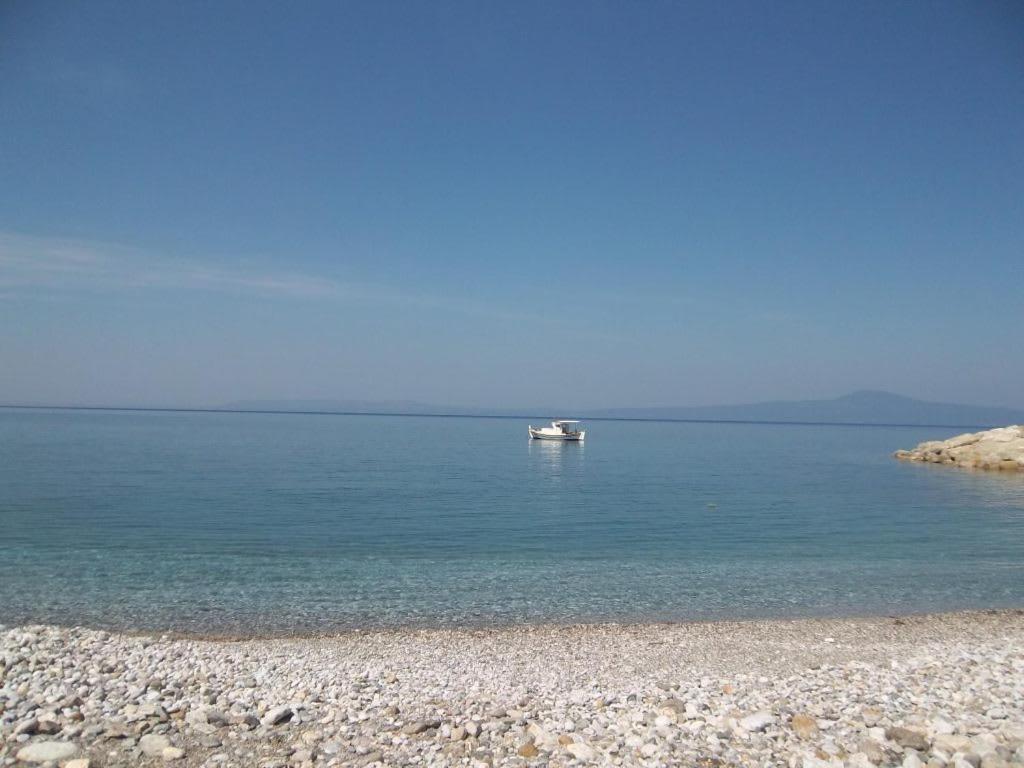 Amber Seaview Villa By The Olive Groves Kalamata Extérieur photo